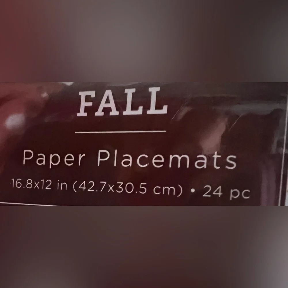 NWT-🍁🎃 24 Beautiful Pumpkin Placemats